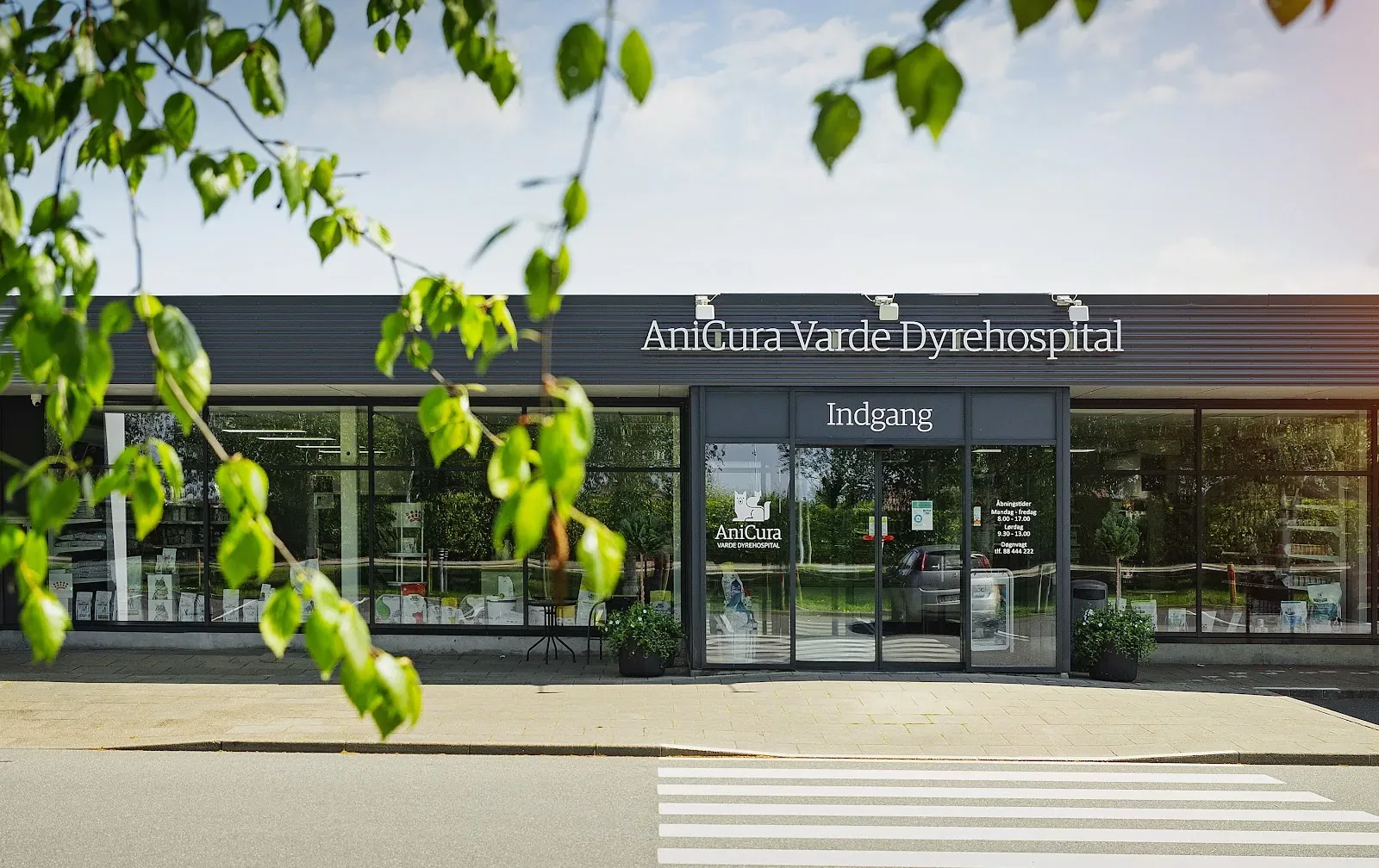 Foto fra Ribevej 37