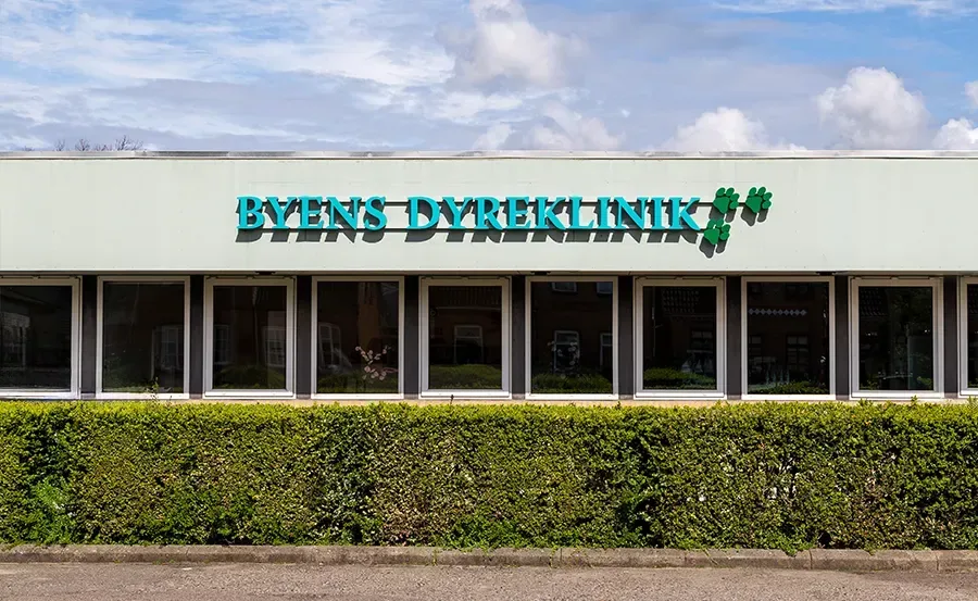 Foto fra Falckvænget 1