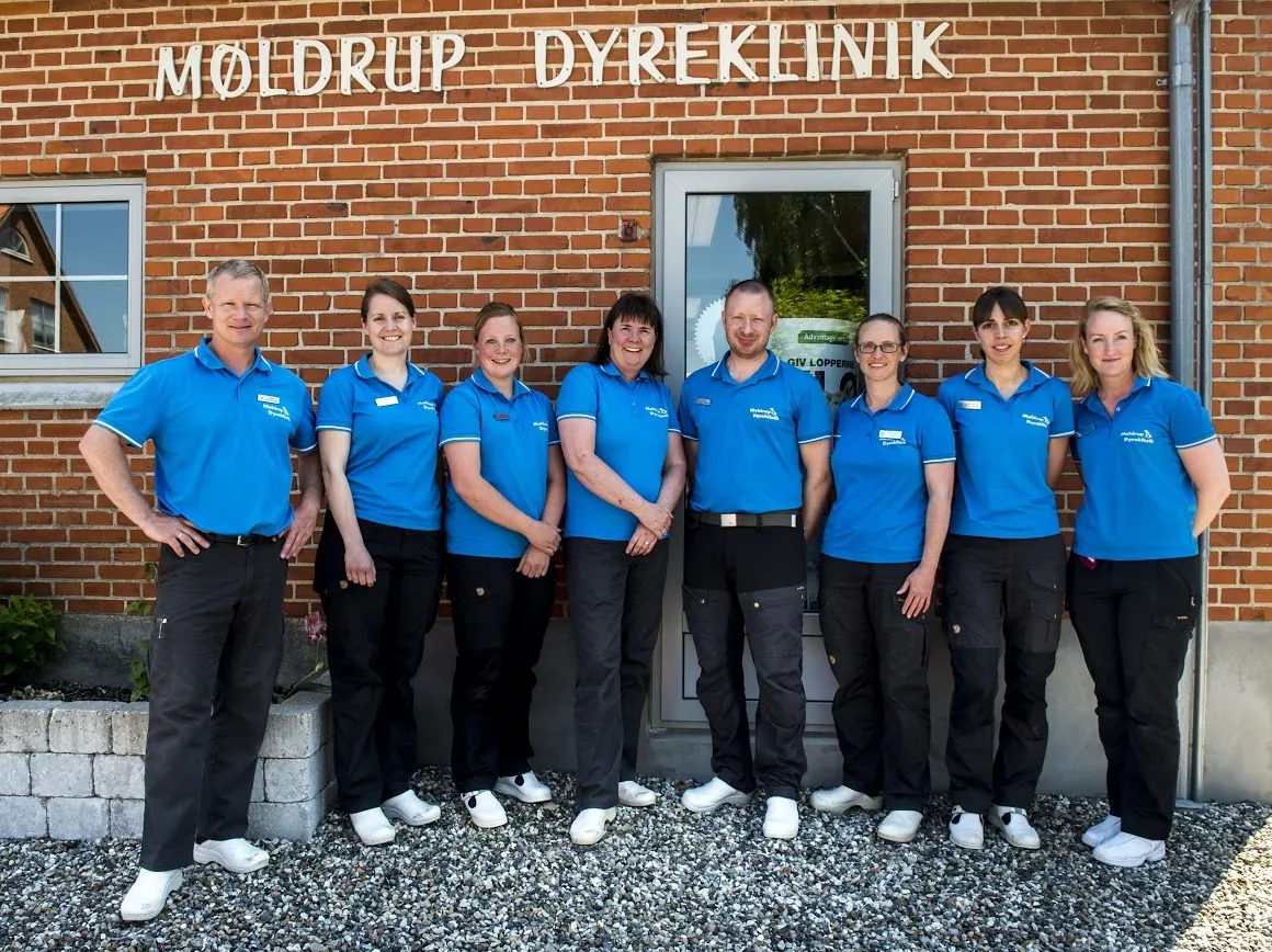 Foto fra Søndergade 45B
