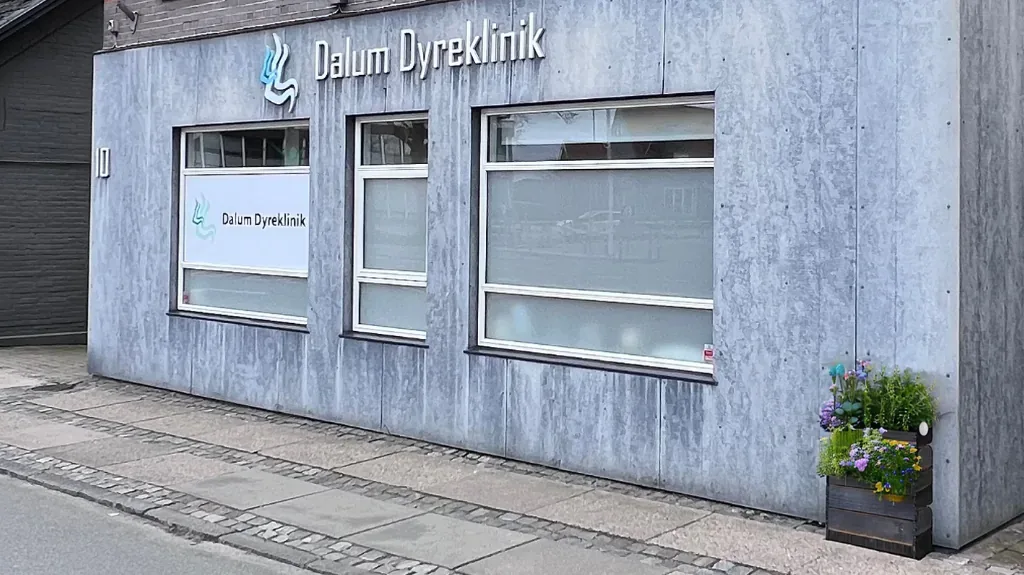Foto fra Dalumvej 10